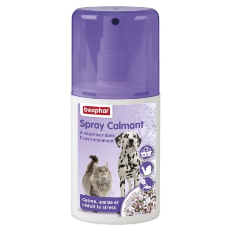 Spray calmant chat et chien à la Valériane