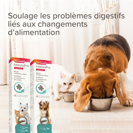 IntestoPro pâte pour améliorer la consistance des selles pour chats et chiens