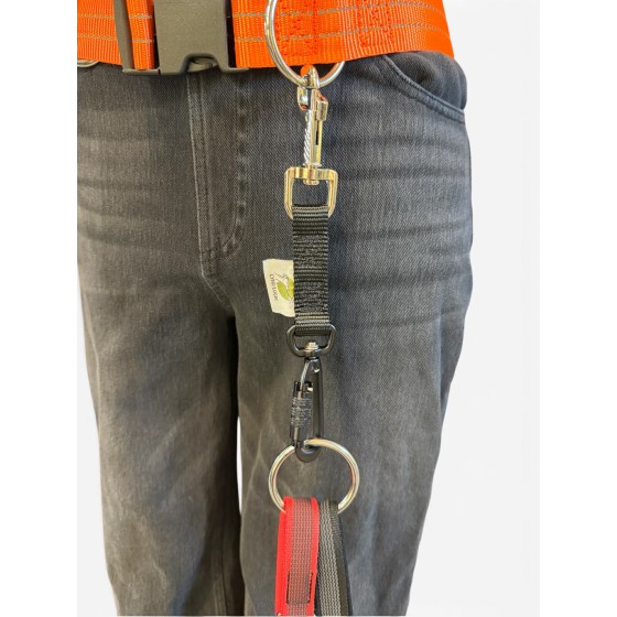 Connecteur pour laisses multi-chiens