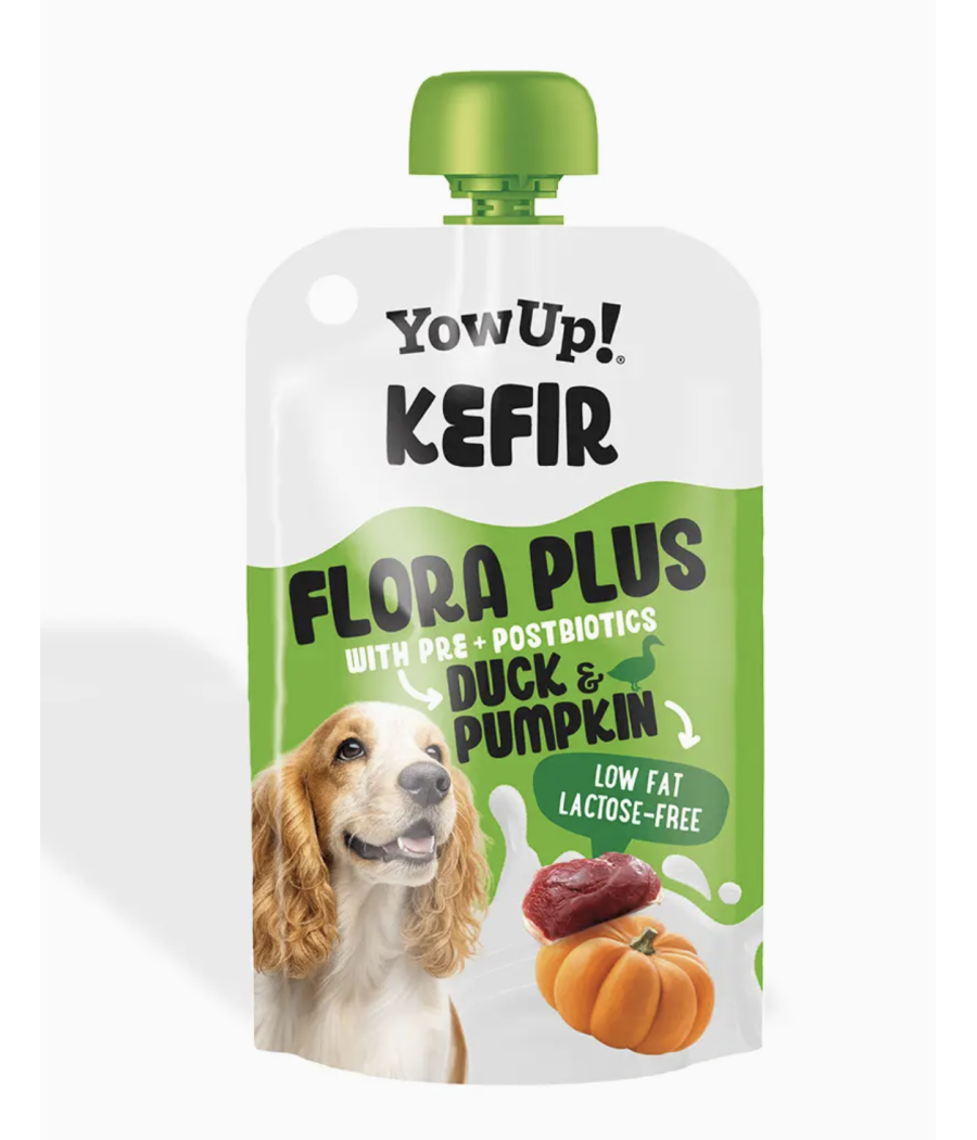 YowUp! Yaourt pour chien