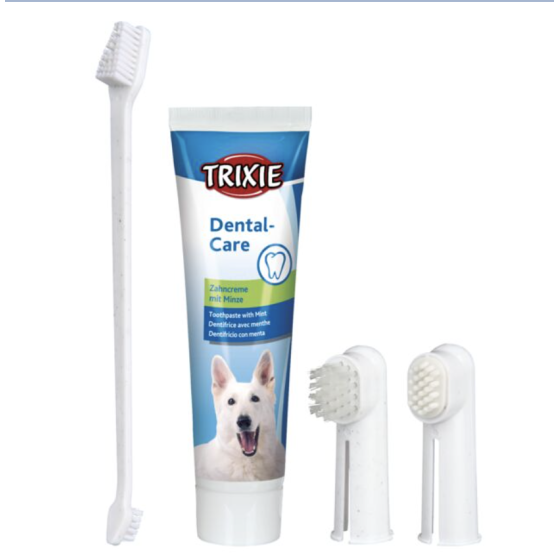 Set d'hygiène dentaire