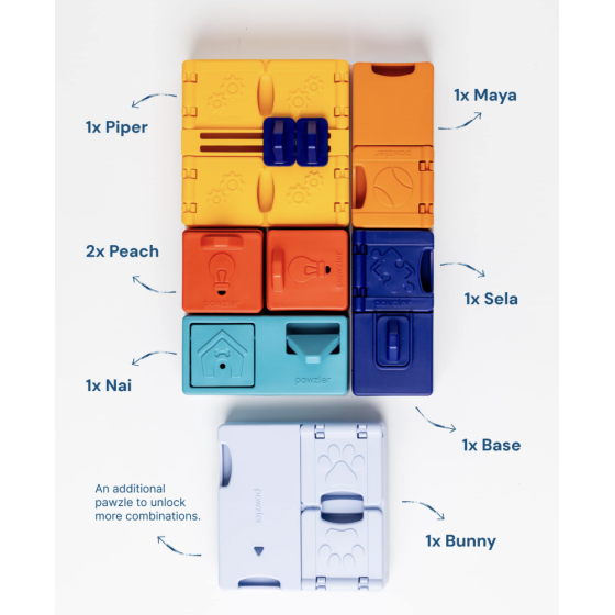 Jeu de reflexion Genius set Pawzler