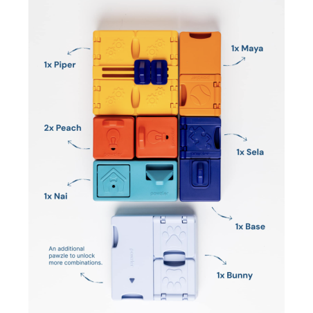 Jeu de reflexion Genius set Pawzler