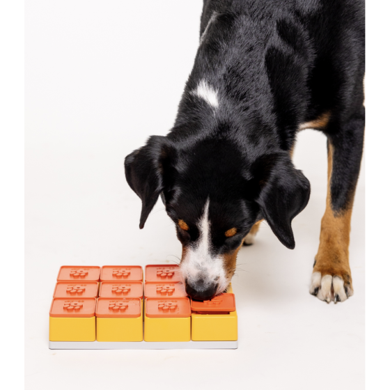 Jeu de réflexion Labyrinthe Treat Maze Pawzler