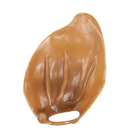 Oreille végétale Veggie snack