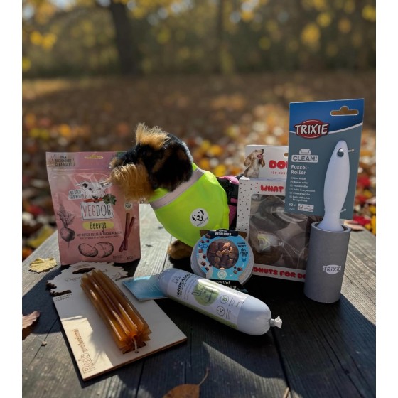 Box de l'automne