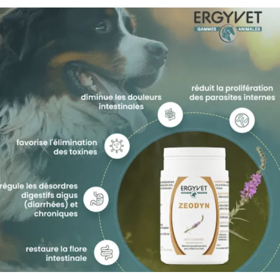 Zeodyn Ergyvet 70g