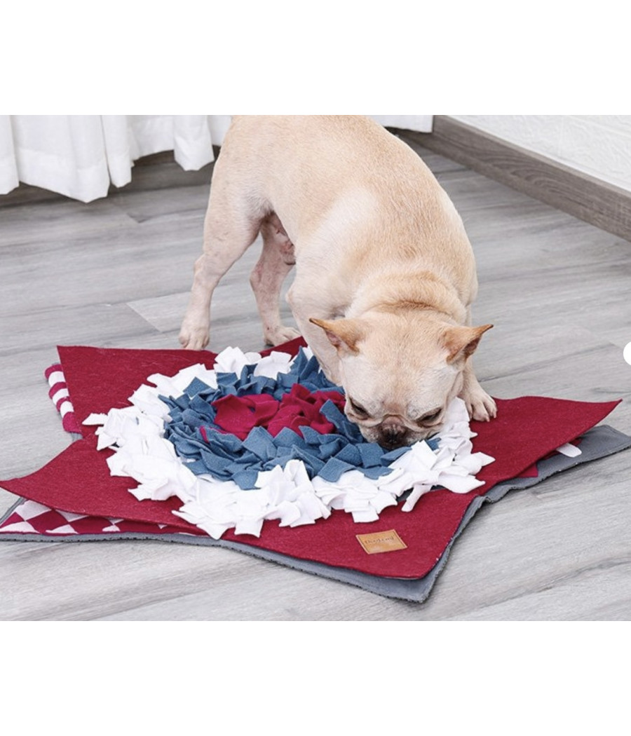 Tapis de fouille Star