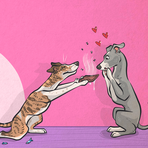 Découvre la collection pour les Dog Lovers ! 