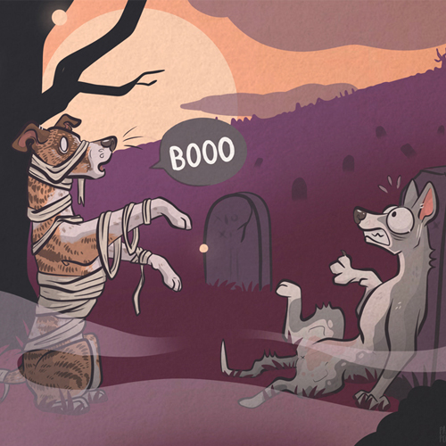 Collection Halloween