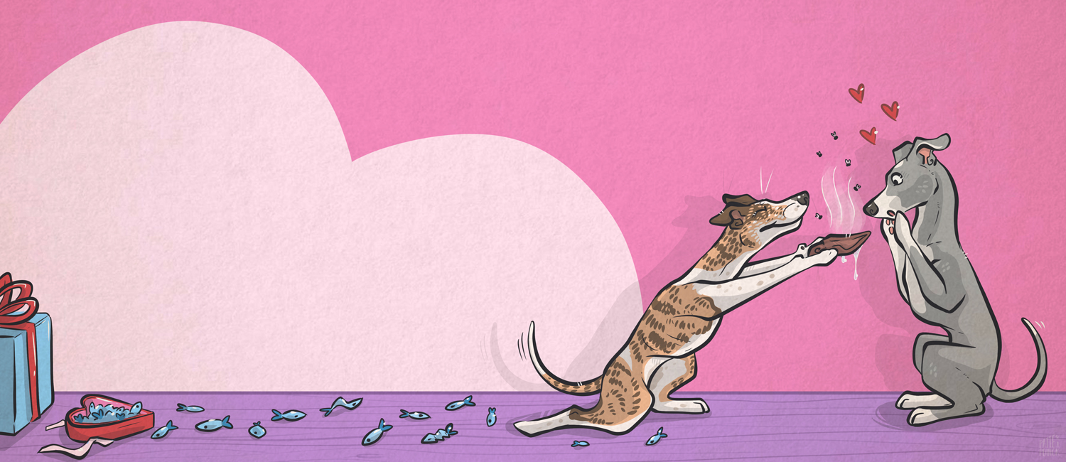 Découvre la collection pour les Dog Lovers ! 