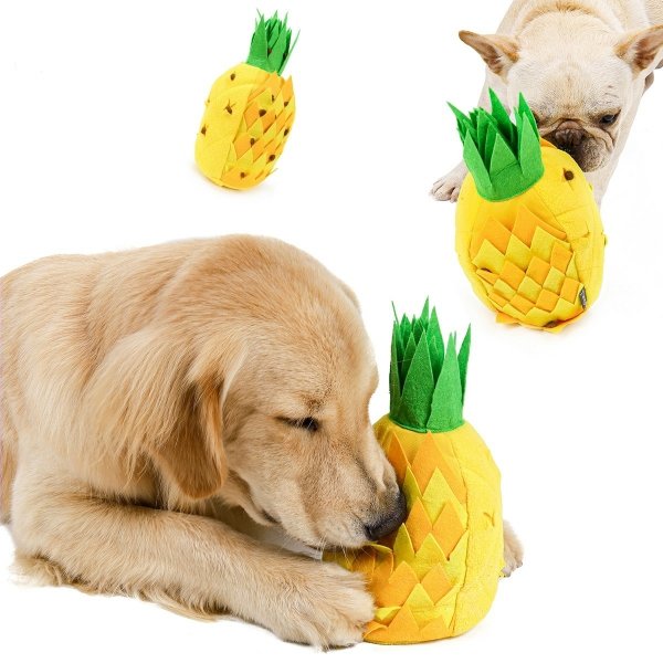 L'ananas est-il bénéfique pour votre chien ?