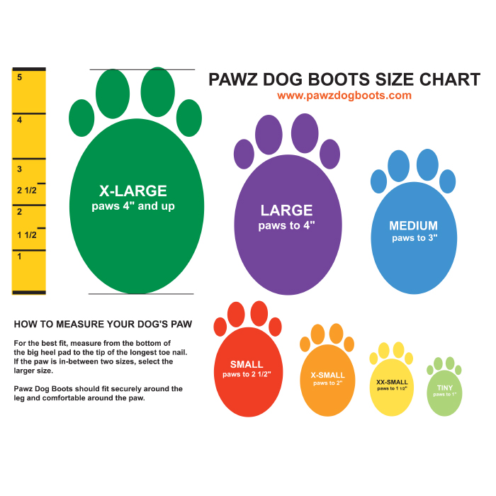 Chaussures pour chien PAWZ