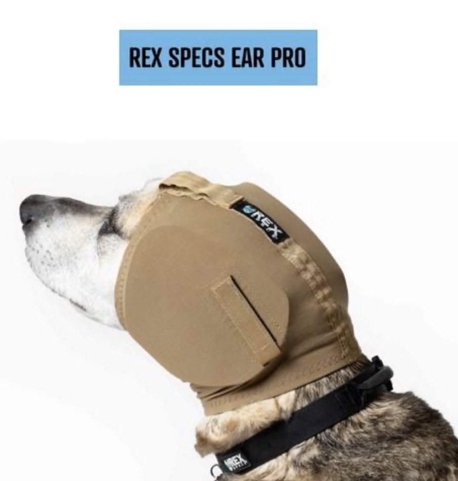 Casque anti-bruit Rex Specs